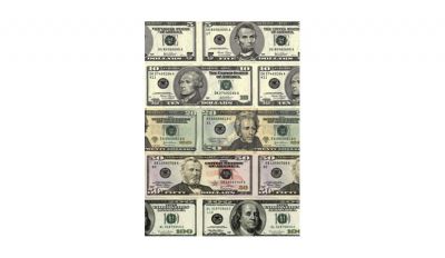 Big money room roll vinyl wall decor